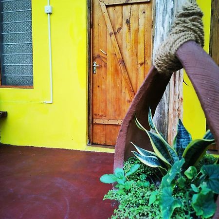 Shanka Lodge Zanzibar Kizimkazi Kültér fotó