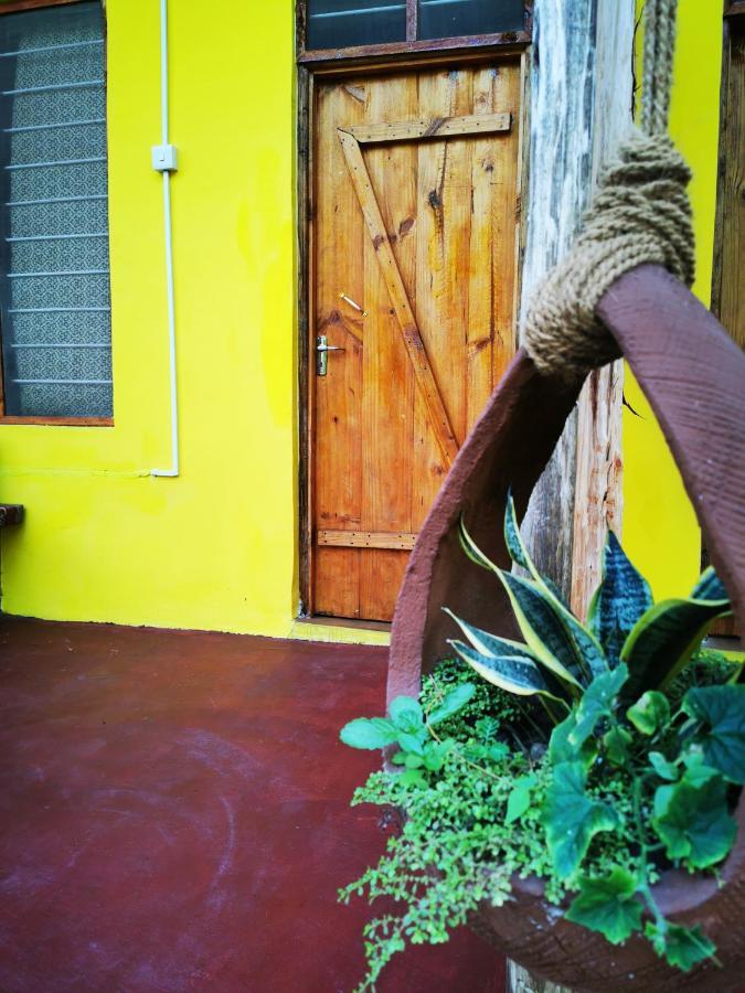 Shanka Lodge Zanzibar Kizimkazi Kültér fotó