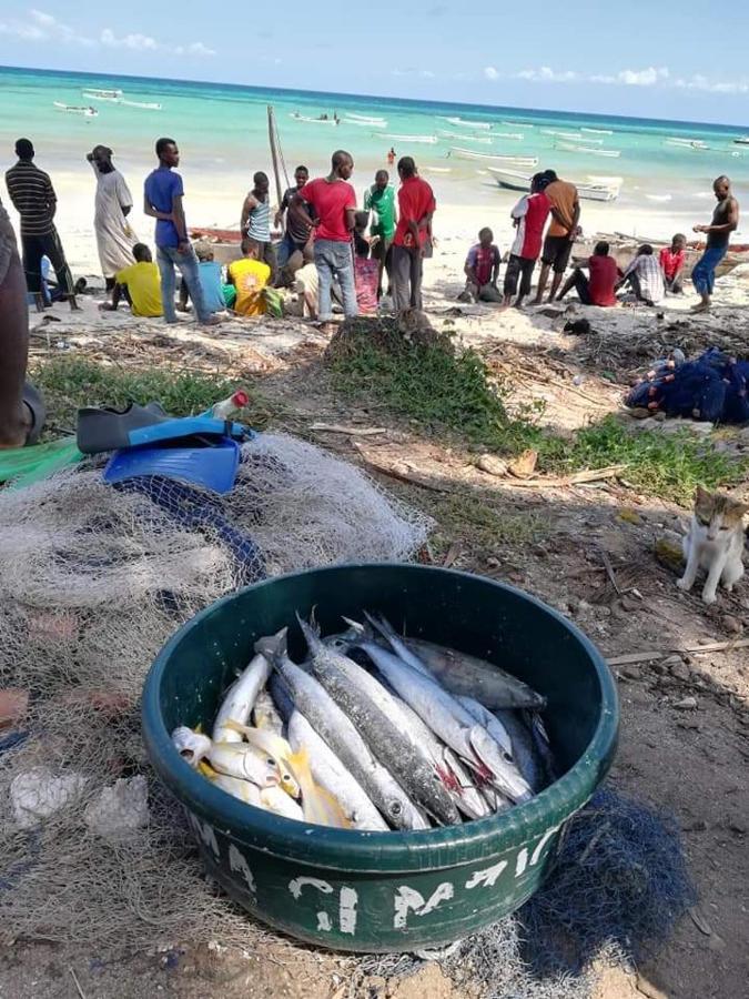 Shanka Lodge Zanzibar Kizimkazi Kültér fotó